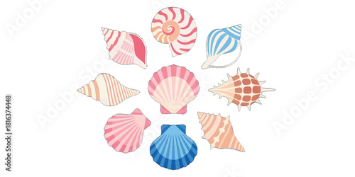 Colorful Seashells in Various Shapes and Sizes