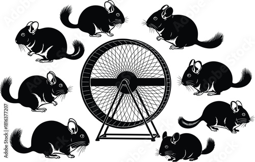 Set of cute chinchilla rodent vector silhouettes, isolated black figures and exercise wheel graphic, ideal for exotic pet care, breeding, and professional animal design