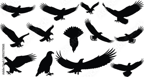 Set of Majestic Eagle Silhouettes, Flying and Perching Birds of Prey, Detailed Vector Illustration Pack for Wildlife, Nature, and Sport Design Projects, Hunting Logo Elements