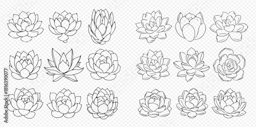 Collection of hand-drawn succulent plants in various styles, perfect for botanical illustrations and decorative designs.