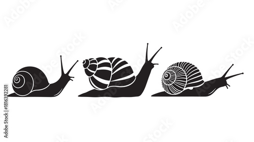 a line of four detailed snails in a row presented as a striking black silhouette on transparent background high quality professional modern