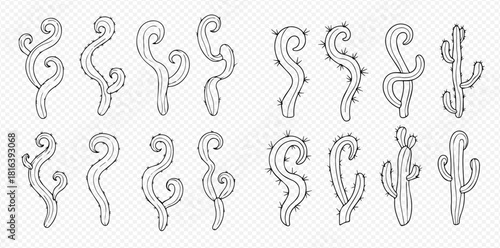 A set of various cactus plant illustrations in black and white.