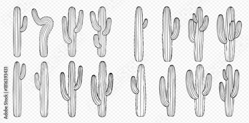 A collection of cactus drawings in varying shapes and sizes, presented in a grid format.