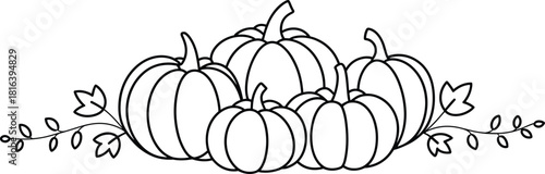Pumpkin harvest line art, autumn pumpkin illustration, fall season outline design, Thanksgiving decorative graphic, botanical pumpkin sketch arrangement
