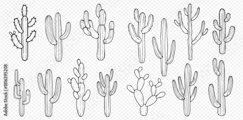 A collection of various cactus illustrations in black and white, showcasing different shapes and sizes.