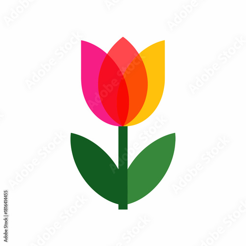 Colorful Tulip Flower Illustration Design.