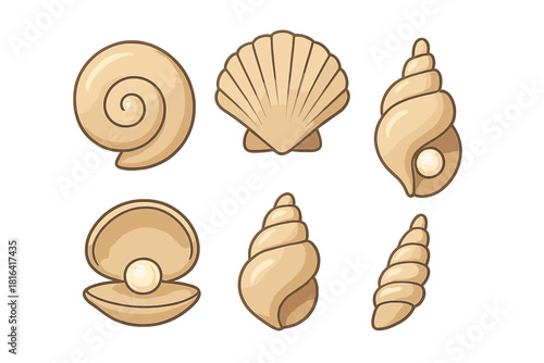 Six marine seashells including spiral conch, scallop, and clam shells with pearls