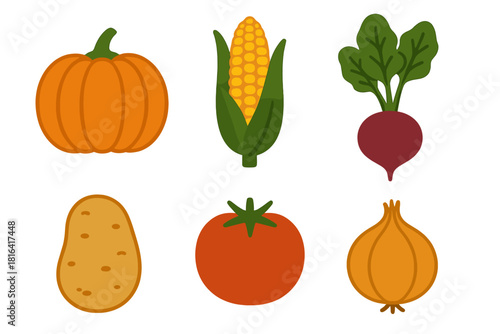 Assortment of fresh autumn vegetables including pumpkin corn beet potato tomato and onion