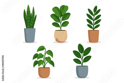 Collection of five popular indoor houseplants in decorative pots isolated on a white background
