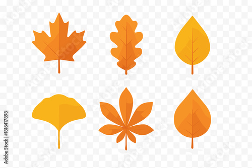 Collection of six different deciduous autumn leaves in warm orange and yellow colors