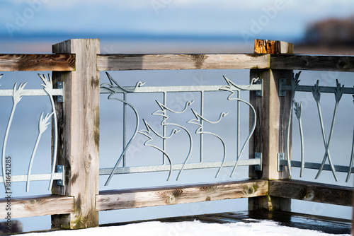 Obraz na plátně Balcon au oies