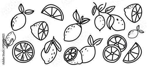 Lemon doodle fruit hand drawn vector illustrations set. Citrus, black wedge, tropical lime with crayon texture.