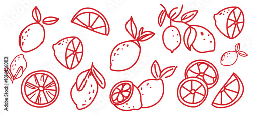Lemon doodle fruit hand drawn vector illustrations set. Citrus, red wedge, tropical lime with crayon texture.
