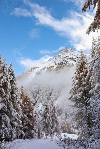 Entrée d'hiver