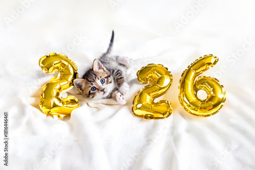 Christmas small kitten relaxes with shimmering golden foil balloons forming year 2026, conveying joyful celebration, new beginnings, and festive atmosphere card white background.