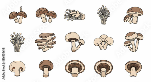 A hand-drawn vector collection of various edible mushrooms. This icon set features different fungi types, perfect for culinary and food-related design projects