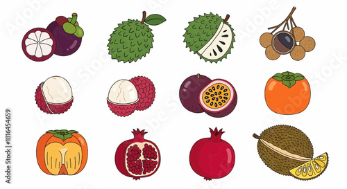 Diverse collection of vibrant tropical and exotic fruits, beautifully illustrated as colorful vectors. Ideal for healthy eating, food blogs, or promoting fresh produce