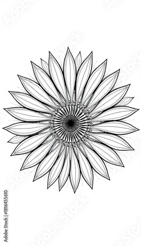 Minimalist a detailed line drawing of a flower with a complex center and many petals radiating outwards symmetrically vector