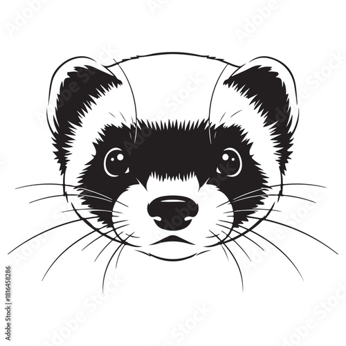 Black and White Ferret Head Illustration with Distinctive Mask and Whiskers