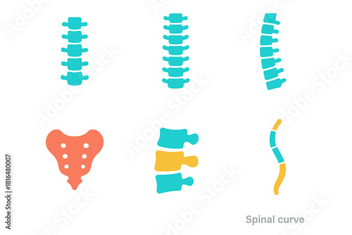 Colorful Spine X-Ray Icons. Spine X-Ray Set flat icon set: cervical spine, thoracic spine, lumbar spine, sacrum outline, vertebra segment, spinal curve