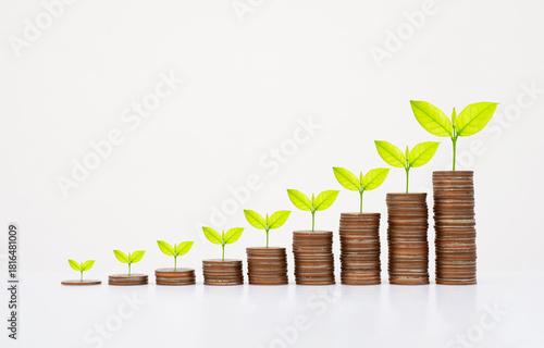 coin stack money saving concept. green leaf plant growth on rows of coin on white background. money matters tips to investment and business financial banking for Financial Wellness.money management.