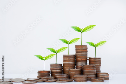 coin stack money saving concept. green leaf plant growth on rows of coin on white background. money matters tips to investment and business financial banking for Financial Wellness.money management.