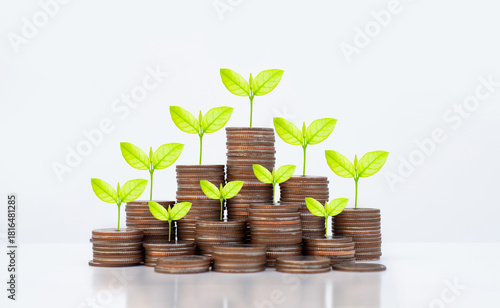 coin stack money saving concept. green leaf plant growth on rows of coin on white background. money matters tips to investment and business financial banking for Financial Wellness.money management.