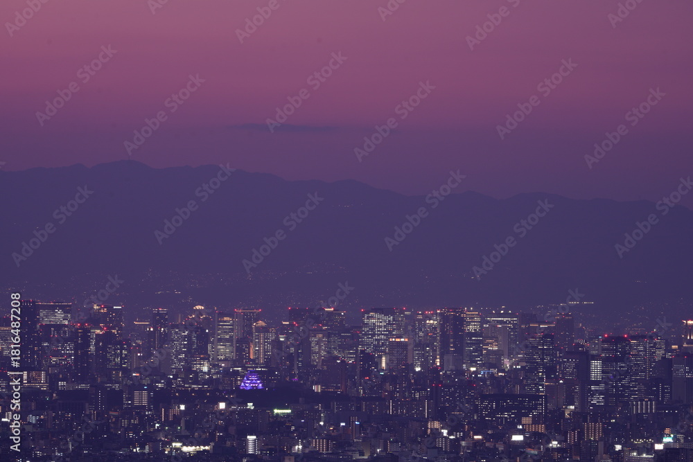 Obraz premium 大阪平野夜景とビル街に浮かび上がる紫色にライトアップされた大阪城