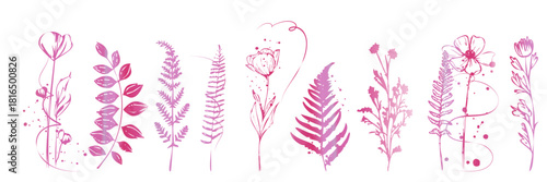 Elegant botanical illustration with flowers, leaves and curved stems arranged in refined decorative natural line art style.