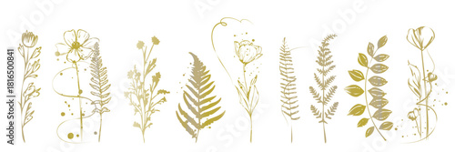 Botanical line art illustration featuring stylized flowers, curved stems and natural plant elements arranged in an elegant decorative floral composition.