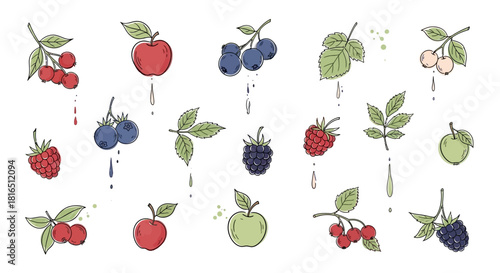 Assorted Berries and Fruits Illustration with Watercolor Accents.
