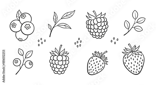 Assortment of Berries - Blueberries, Raspberries, and Strawberries Line Art.