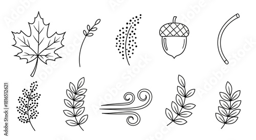 Autumnal Elements - A Collection of Hand-Drawn Botanical Illustrations.