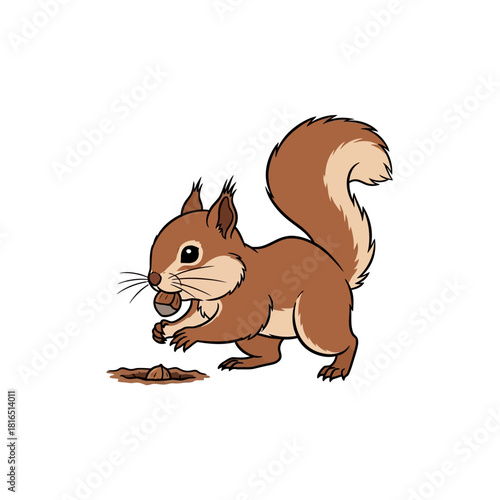 Cute squirrel holding a nut, ready to eat, brown fur.