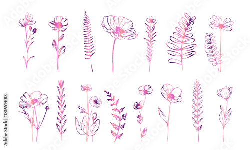 Botanical flower illustration with natural plant shapes, flowing stems and detailed floral forms presented in a clean line art style.
