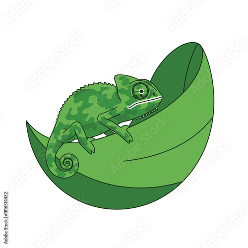 Green chameleon resting on a large green leaf, nature scene.