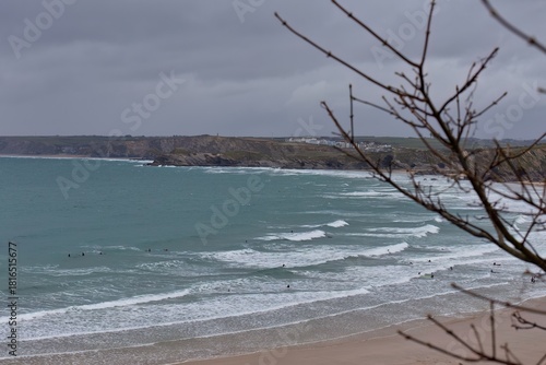 Coastal scene; waves roll onto a sandy beach beneath a cloudy sky. A bare tree branch accents the right, adding depth to the coastal view