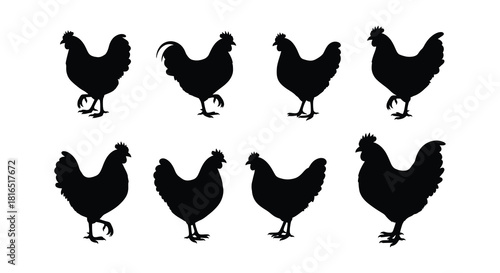 A collection of black silhouettes depicting various poses of farm chickens