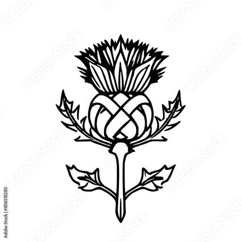 Scottish Thistle Emblem: Black and White Celtic Kn