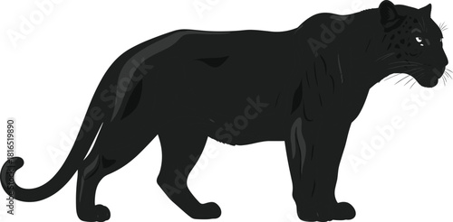 Black panther vector illustration standing side view on white background, wild animal predator design for mascot logo, graphic big cat silhouette art.