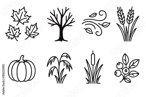 Autumn Icon Silhouettes. Autumn nature linear icon set: falling leaves, tree silhouette, windy gust, harvest wheat, pumpkin, dried grass, cattail, woodland berry