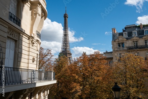 Rich Paris street panorama with Eiffel tower