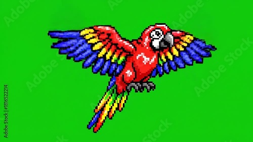 Colorful Parrot Spreading Wings Animation on Green Screen Background.