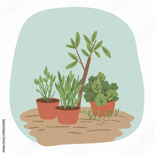 A charming illustration of various potted plants, including a sapling and herbs, ready for gardening.