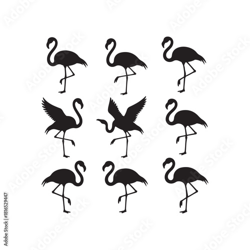 Set of umbrella and mushroom vector illustrations in autumn weather design