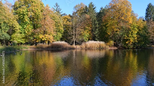 Lazienki Royal Baths Park autumn landscape with pond and ripples in water in city of Warsaw, Poland.
