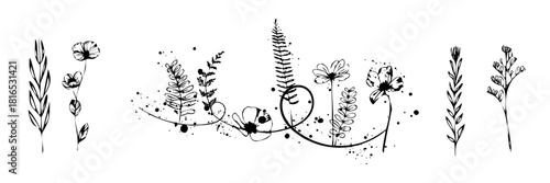 Stylized botanical floral illustration with natural plant shapes, blossoms and curved stems arranged in a graceful minimal line art layout.