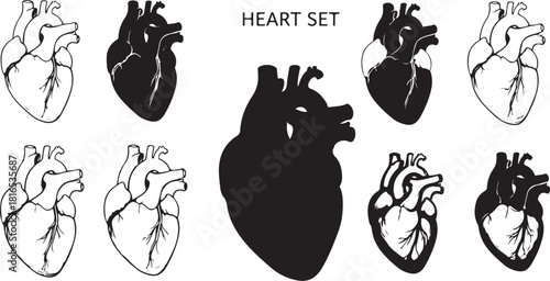 A collection of anatomical human heart illustrations presented in both line art and solid silhouette styles for medical and scientific purposes