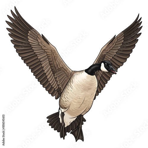 canadian goose duck hunting illustration logo vector image t shirt