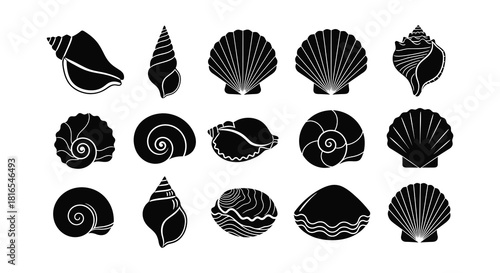 Collection of black silhouette seashells arranged in a grid pattern
